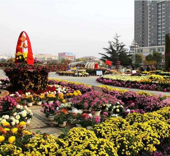 台湾 城市菊展设计